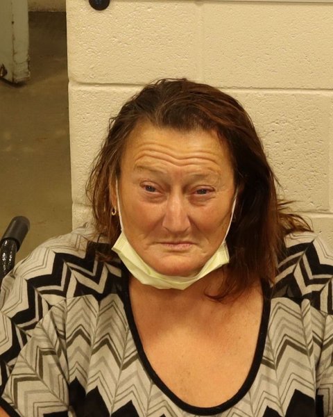 Mugshot of TAMI RENAE WILSON WARDELL