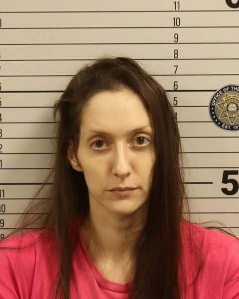 Mugshot of LINDSEY RAY MOSES