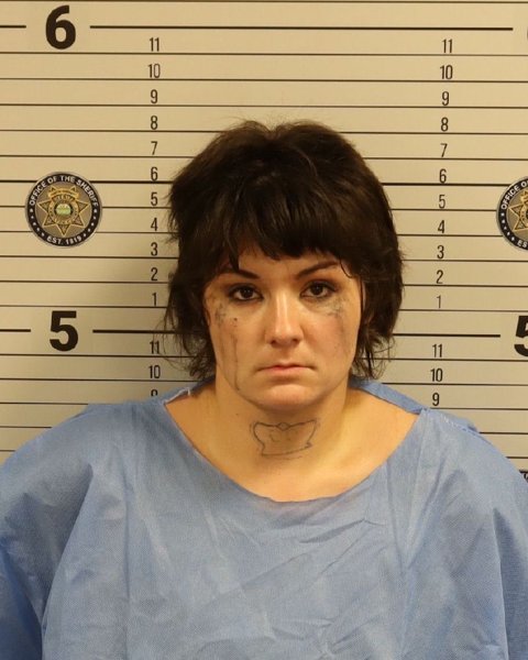 Mugshot of BREANNA GAIL BROWN