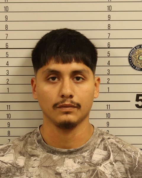 Mugshot of SAUL TORQUEMADA
