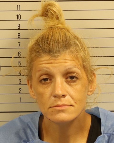 Mugshot of JESSICA LYNN PLOTT