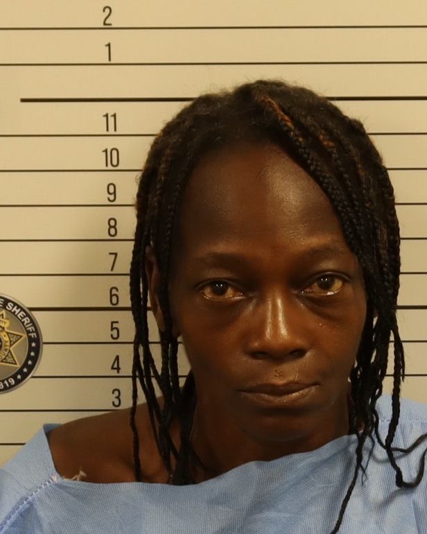 Mugshot of TERRA LYNN SHEPHEARD