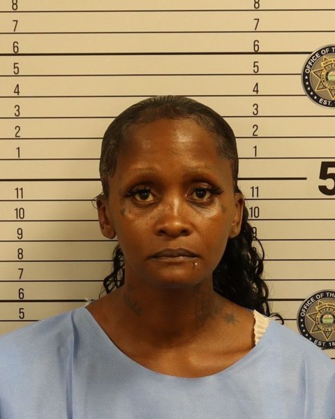 Mugshot of NICOLE ANTONIETTE PHELPS