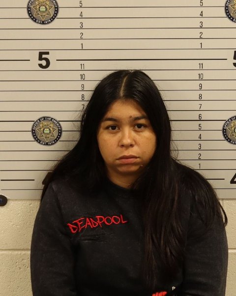Mugshot of YADIAGNA COROMOTO HERNANDEZ-ROMERO
