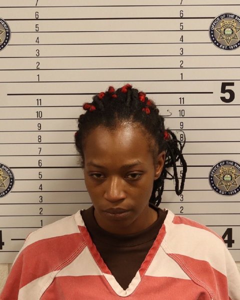 Mugshot of RAYSHELLE NICOLE DAVIS