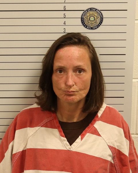Mugshot of APRIL LEE SWISKI