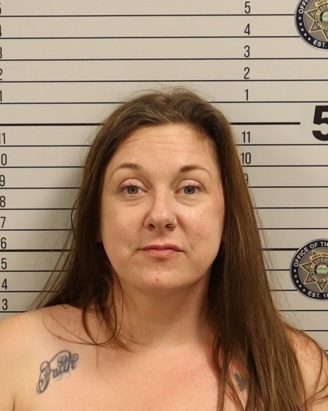 Mugshot of AMY DAWN ELLIOTT