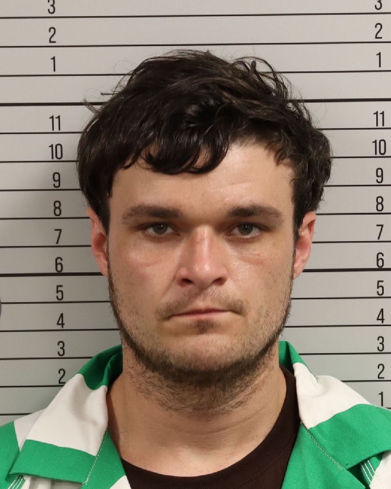 Mugshot of LOGAN DAVID COX