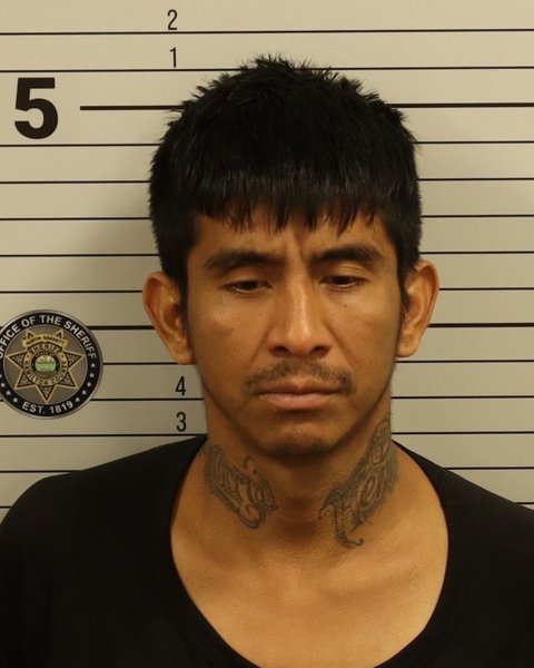 Mugshot of MYNOR DAVID MAURICIO HERNANDEZ