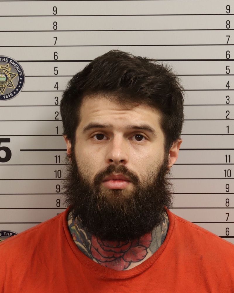 Mugshot of DAWSON BRADLEY TERRY
