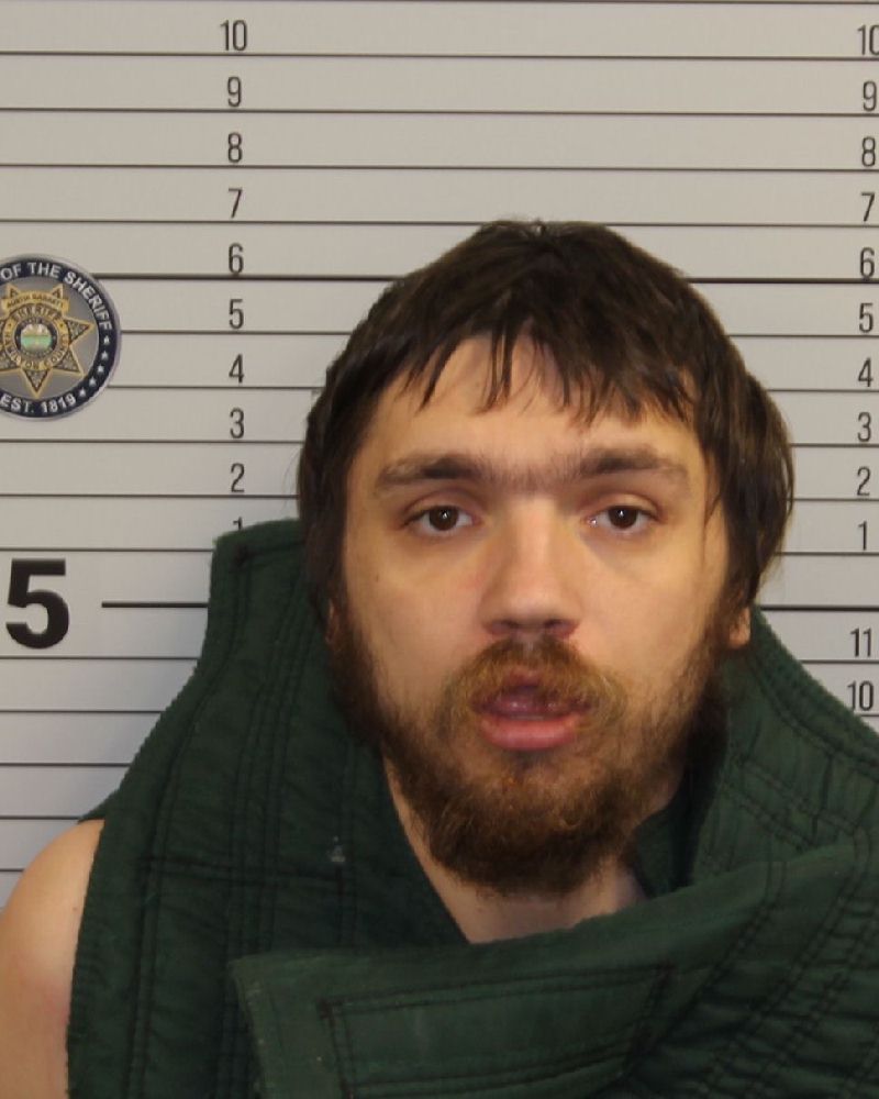 Mugshot of CHRISTIAN SKYE WOODARD