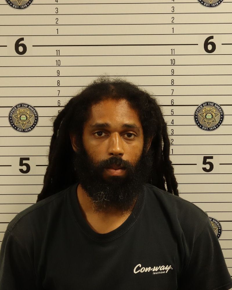 Mugshot of DAVID ALLAN HAMILTON