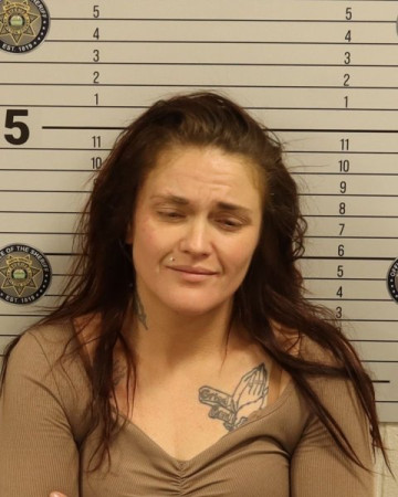 Mugshot of COURTNEY MARIE HIGGINS