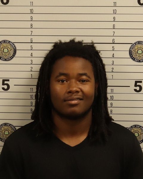Mugshot of TENNESSEE D LOVELACE