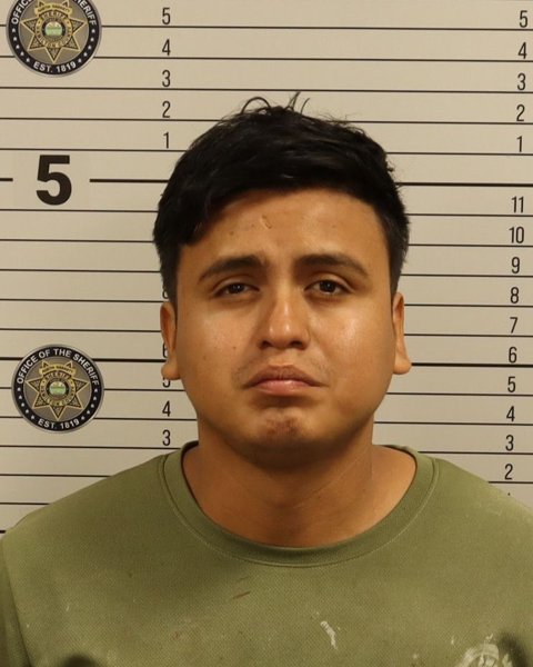 Mugshot of NEHEMIAS MILMAR BRAVO MORALES