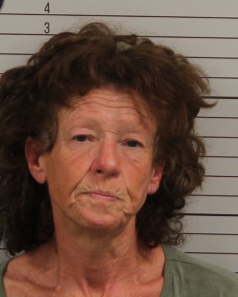 Mugshot of CARLA DEE LEWIS