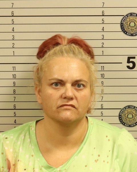 Mugshot of RACHAEL NICOLE BROWNFIELD