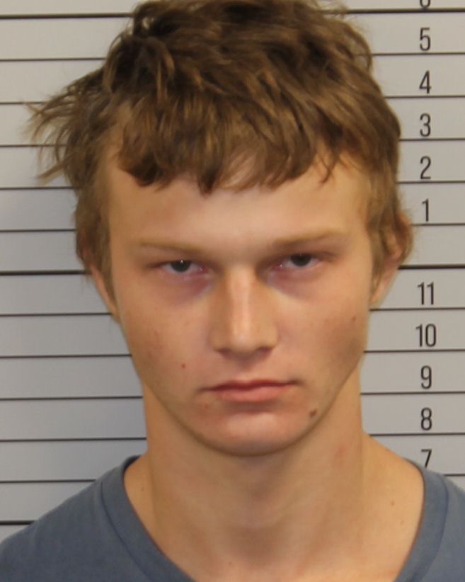 Mugshot of LANDON REESE FRITTS