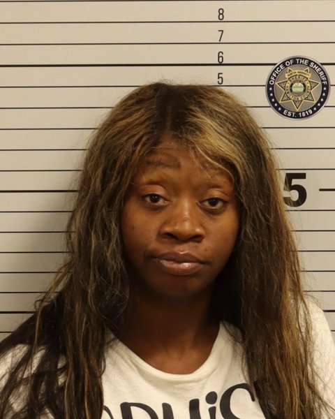 Mugshot of VANESSA RENEE BURSON