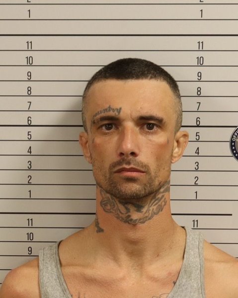 Mugshot of WILLIAM EDWARD SABEC