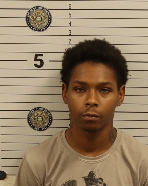 Mugshot of HEVIN LEE SALES