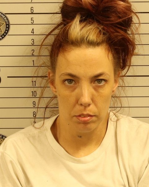 Mugshot of JANIE LYNN HALL