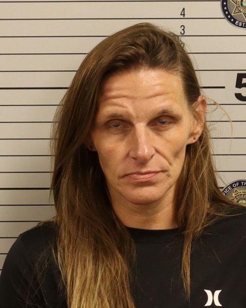 Mugshot of CRYSTAL DANIELLE HICKMAN
