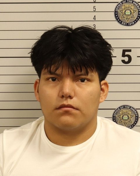 Mugshot of LUIS MARIO ALAVEZ OJEDA