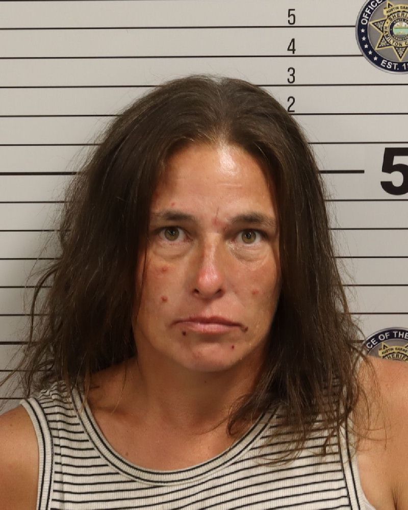 Mugshot of MELISSA ANN NEICE