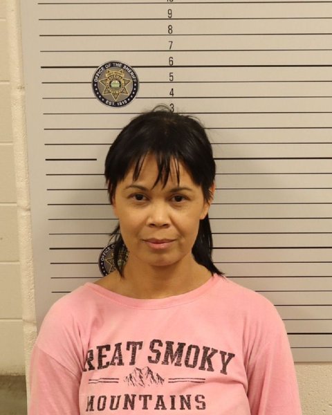 Mugshot of AMANDA C MAJERONI