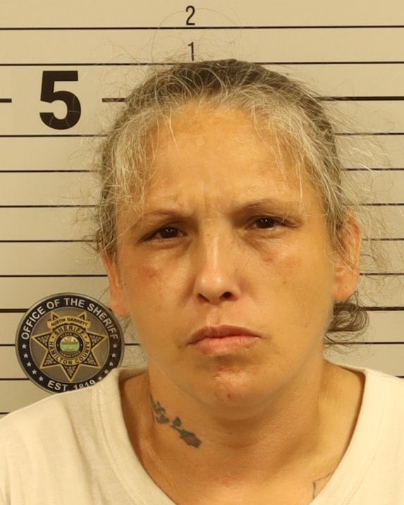 Mugshot of JESSICA RENEE HOLLIDAY