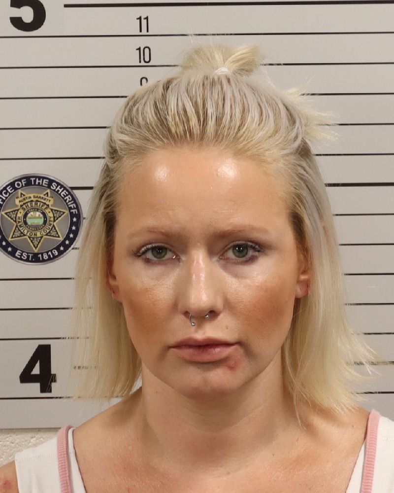 Mugshot of BRITTANY DANIELLE TAYLOR