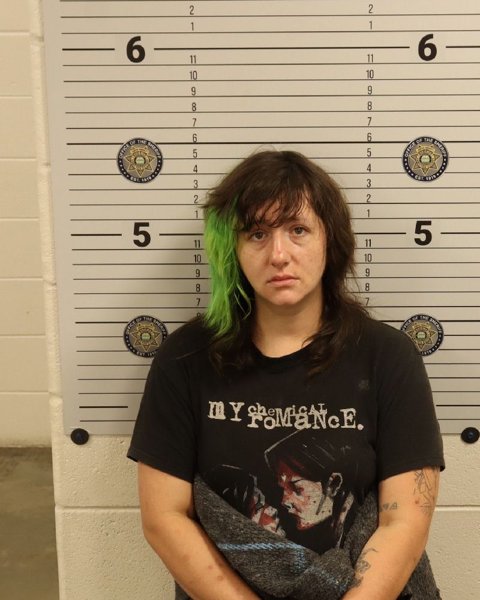 Mugshot of AARON RANAE LUTZ