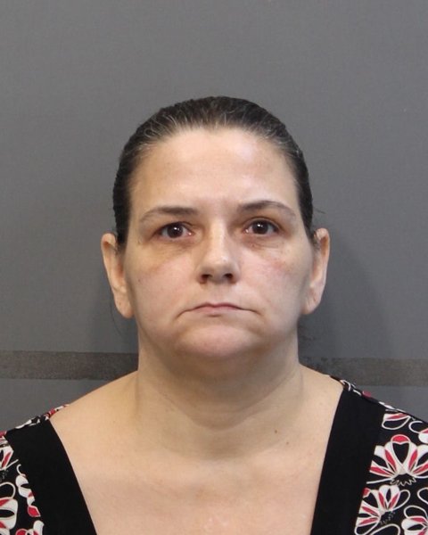 Mugshot of LISA MARIE ALPERT