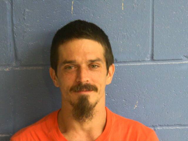 Mugshot of SHANNON J LANDIS