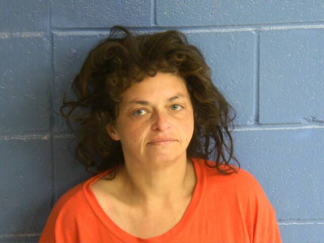 Mugshot of CICILY A ETHERIDGE