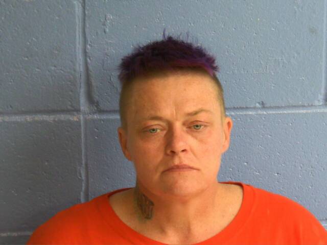 Mugshot of STEPHANIE D SIMS