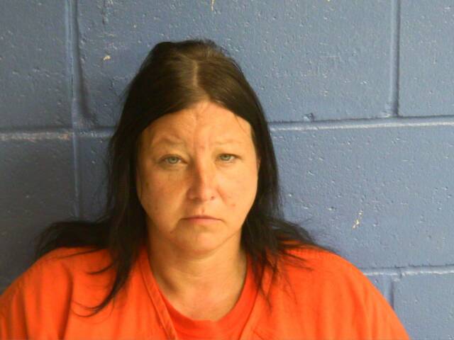 Mugshot of NINA S CARON
