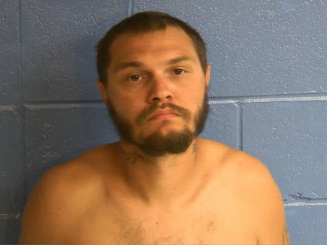 Mugshot of BRYAN T MCCLENDON