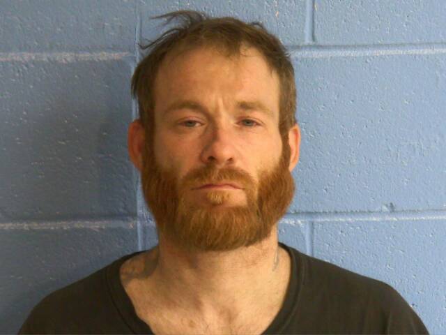 Mugshot of LEE A JOHNSON