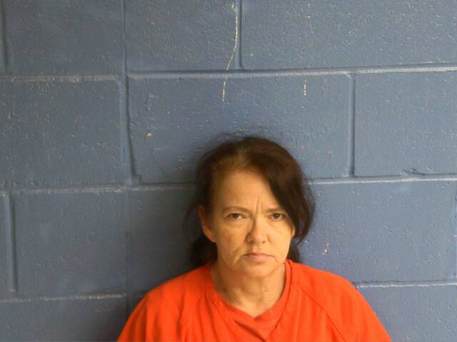 Mugshot of DEBBIE L PARROTT