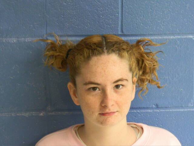 Mugshot of MADALYN A LEE