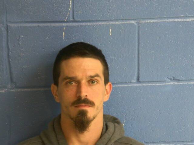Mugshot of SHANNON J LANDIS