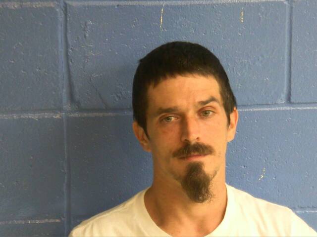 Mugshot of SHANNON J LANDIS