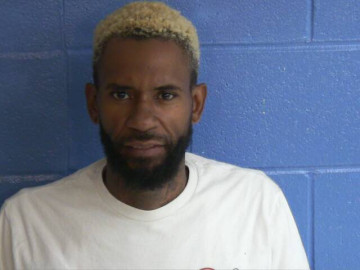 Mugshot of STEPHEN J TURNER