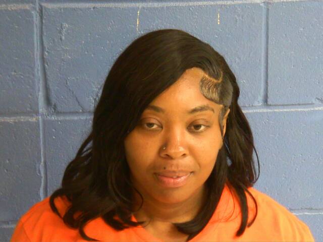 Mugshot of JANET L HAYES