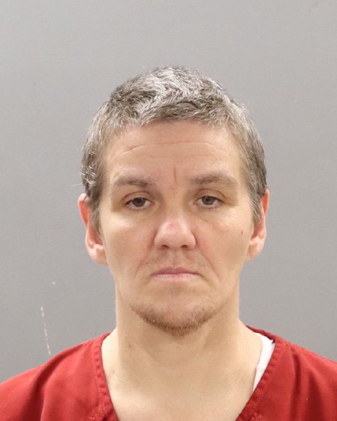 Mugshot of SHEILA MARIE SIMONS
