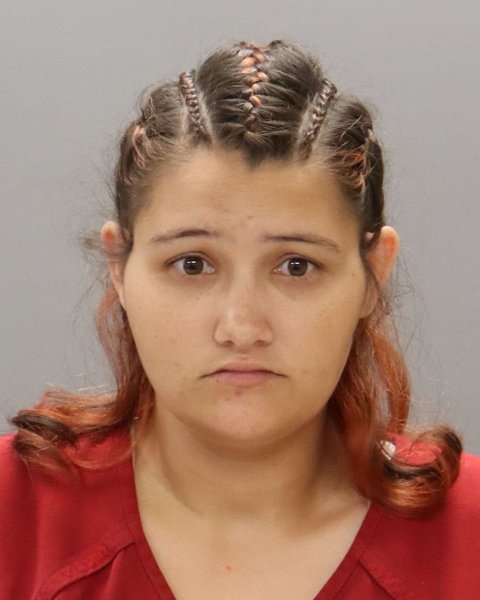 Mugshot of CHYENNE MICHELLE DANGERFIELD