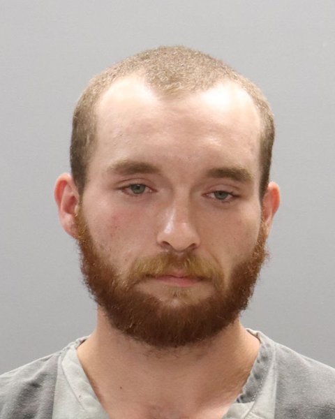 Mugshot of LOGAN LAMB