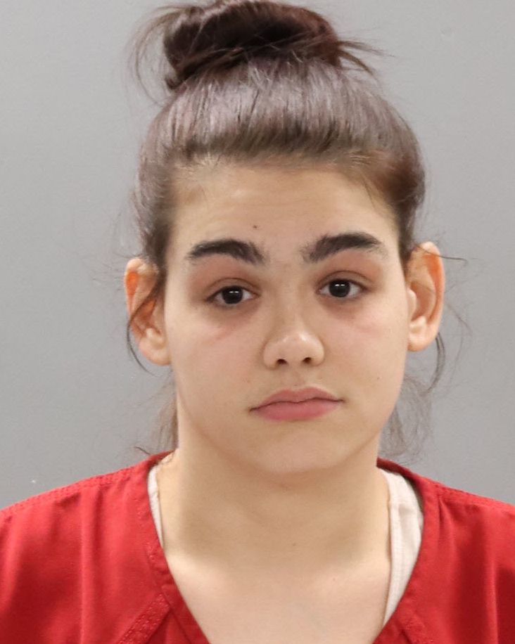 Mugshot of ALEXANDRA R LAPLUME